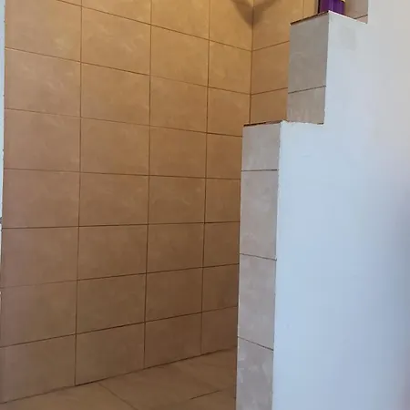 Petricania House 公寓 布加勒斯特