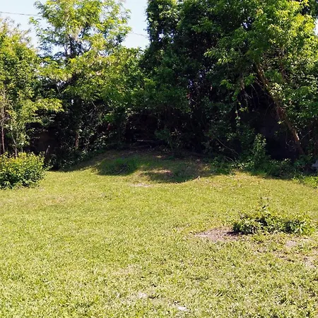 Apartament Petricania House - Garden & With Parking